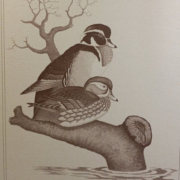 Vintage American Waterfowl Etching/Print Lynn Forehand 5 of 5 Cottagecor… - Picture 2 of 7